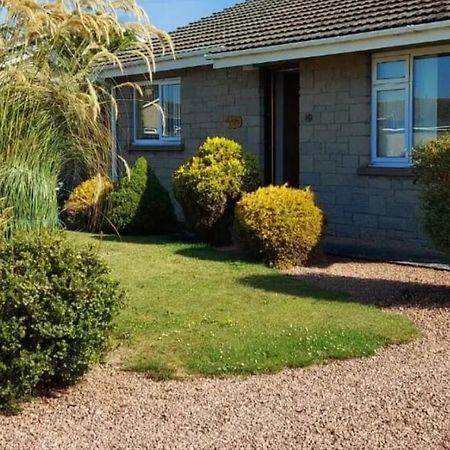 Ivy Cottage 蒙特罗斯 外观 照片